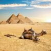 Best things to Do in Egypt